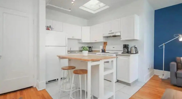 Downtown 1BR Suite