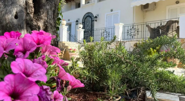 Villa Ampelaki (30 meters to the beach)