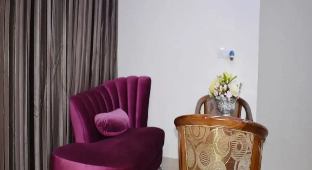 Двухместный люкс HOTEL ANAND INTERNATIONAL