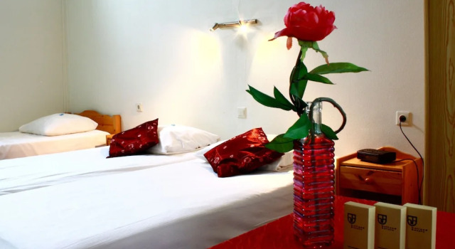 Hotel & Restaurant 'T Holt, Rezervasyon Otel Overijssel 3 yıldızlı oteller, 3*