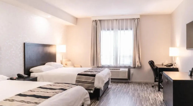 Четырёхместный номер Standard Stars Inn
