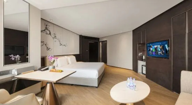 Номер Standard Elite Polink Global Hotel