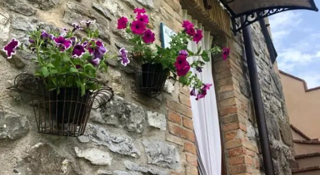 Algioja Apartment Passignano Sul Trasimeno