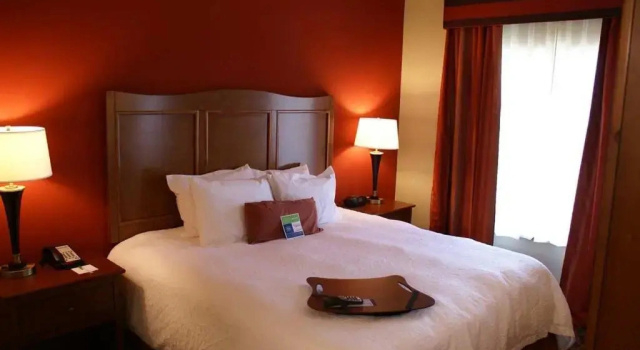 Одноместный номер Standard Hampton Inn & Suites Brenham