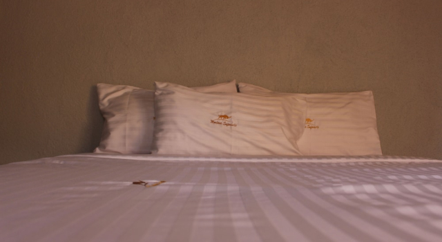 Номер Deluxe Montane Safaris Hotel, Entebbe