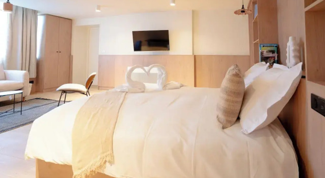 Апартаменты с видом на сад CENTRAL Hôtel Lille Centre