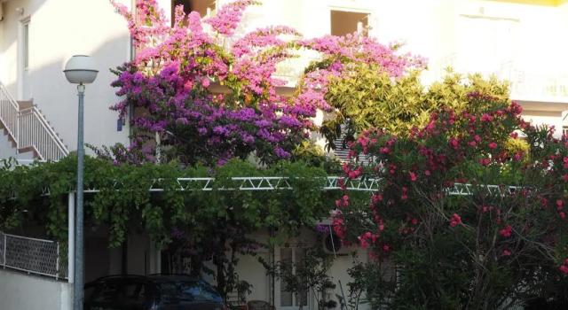 Apartmani Centar Makarska, Rezerwuj Apartament Hotele w Split-Dalmatia County z parkingiem, Parking