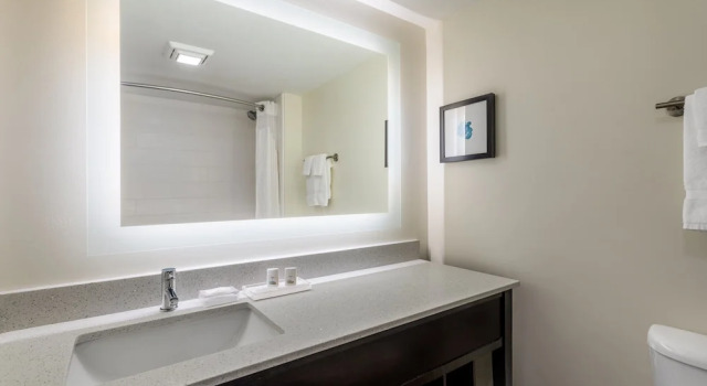Номер Standard Holiday Inn - Tampa North by IHG