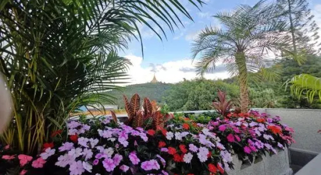 Mangshi Yijin Homestay, Rezerwuj Hotel Dehong Yunnan
