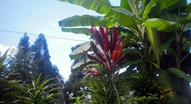 Green Retreat, Book Hotel Hotels in Sikkim with Parking, Parking