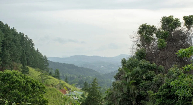 Полулюкс Melheim Kandy Villas