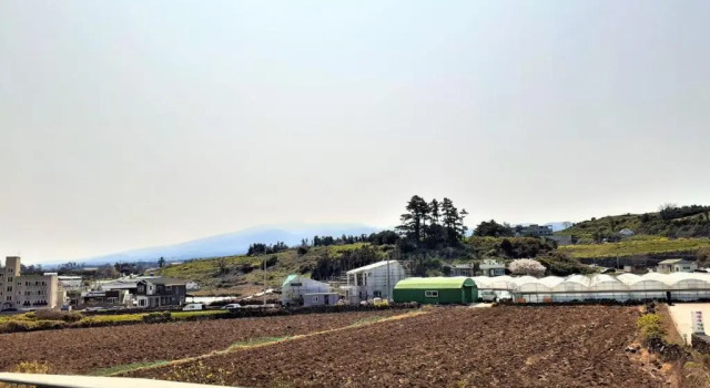 Коттедж Jeju Time