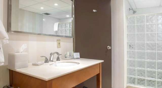 Двухместный номер Standard Quality Inn and Conference Centre