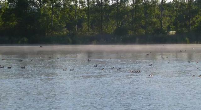 Gite Des Etangs, Забронировать Отель Польне 