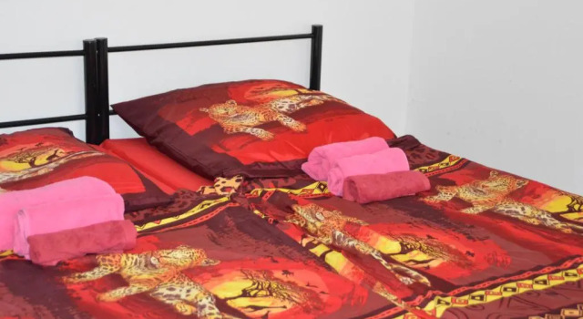 Ferienwohnung Karcherhof Mainz