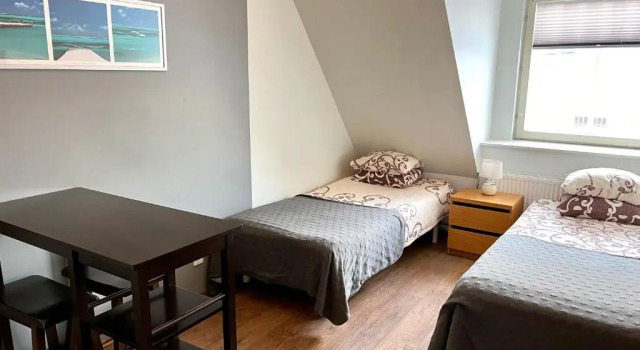 Standardní Dvoulůžkový s manželskou postelí pokoj Hostel Ingeri
