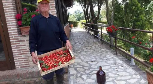 La Ginestra, Забронировать Отель Отели Лацио с бассейном, Бассейн