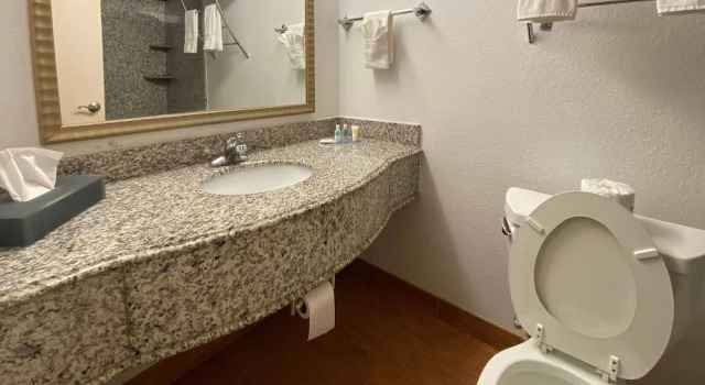 Двухместный номер Standard MainStay Suites Conover-Hickory
