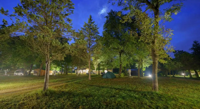 Номер Standard Camping Future Is Nature Playground