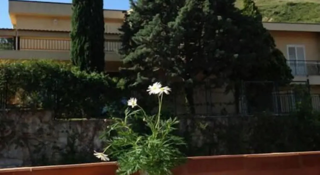 Трёхместный номер Standard Villa Di Giorgi Apartments