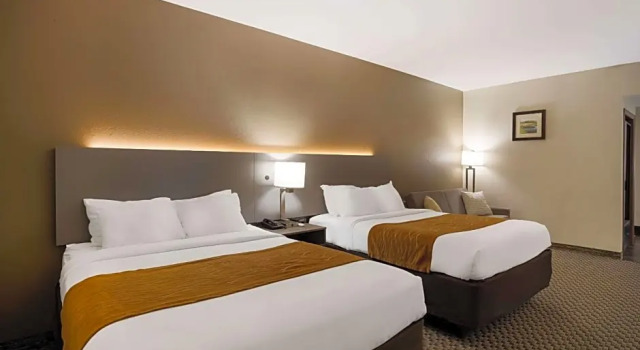 Четырёхместный люкс c 1 комнатой Comfort Inn & Suites Midway - Tallahassee West