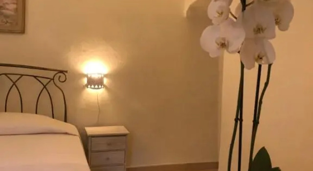 Двухместный номер Standard Domo Antiga Guest Rooms