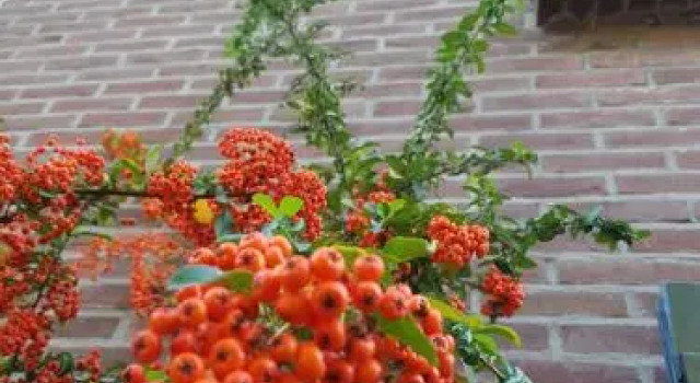 Appartement Hoeve Polsdonk, Buchen Sie Ferienwohnung Oirschot Nordbrabant