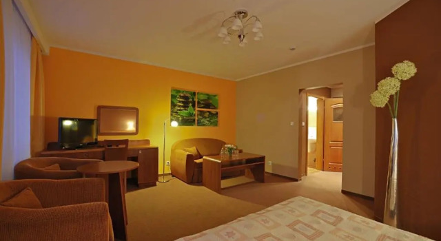 Номер Superior Hotel Baranowski