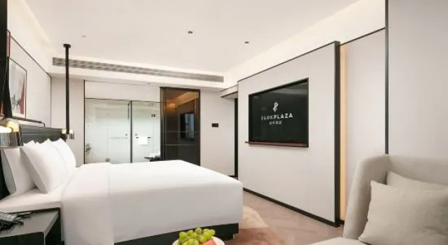 Люкс Executive Park Plaza