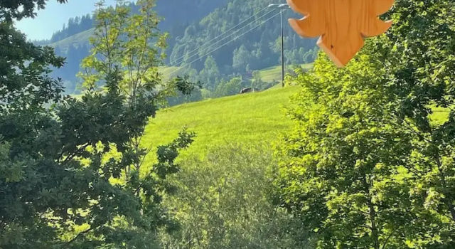 Двухместные апартаменты Chalet Hirschbach