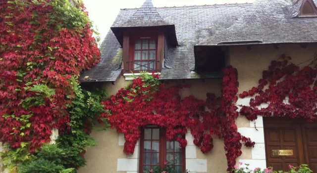 Двухместный номер Standard Цокольный этаж Logis Hotel La Croix Blanche Fontevraud