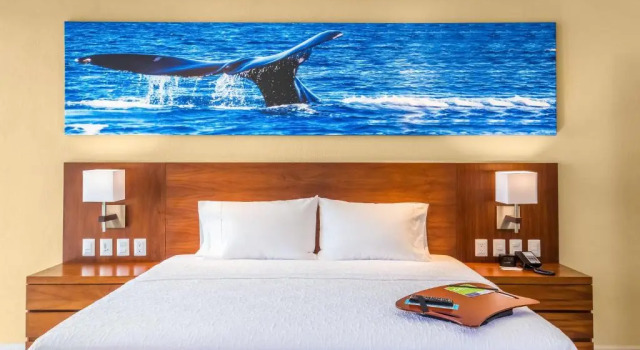 Студия люкс Hampton Inn & Suites by Hilton Los Cabos