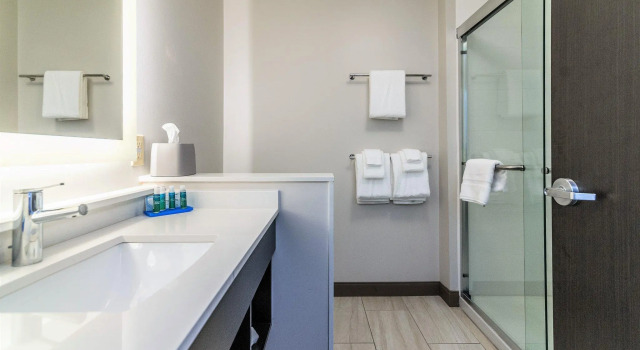 Двухместный номер Standard Holiday Inn Express & Suites Allen Park by IHG