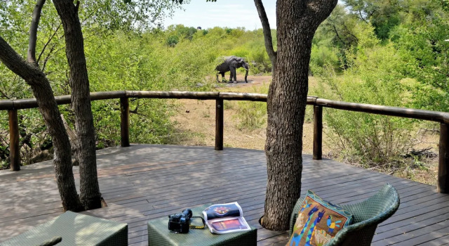 Номер Luxury Motswiri Private Safari Lodge