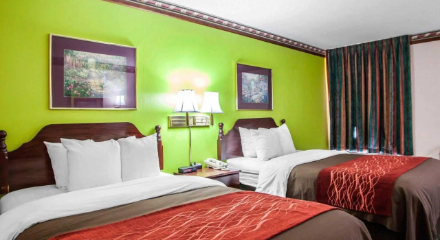 Standard Vierer Zimmer Quality Inn