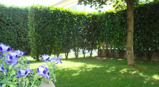 Номер Standard Casa San Marco