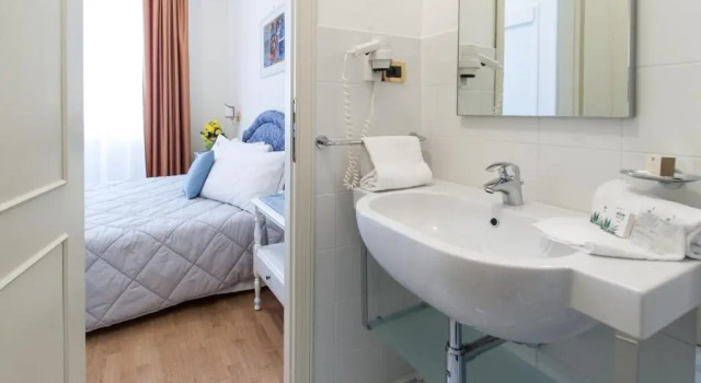 Одноместный номер Hotel Villa Erica