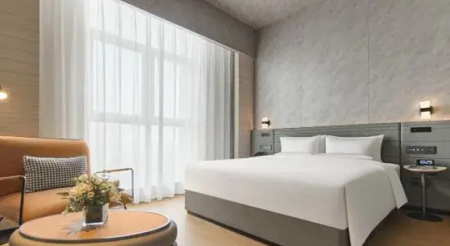 Номер Standard Novotel Yinchuan Lanxigu