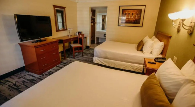 Номер Standard Hotel Calafia