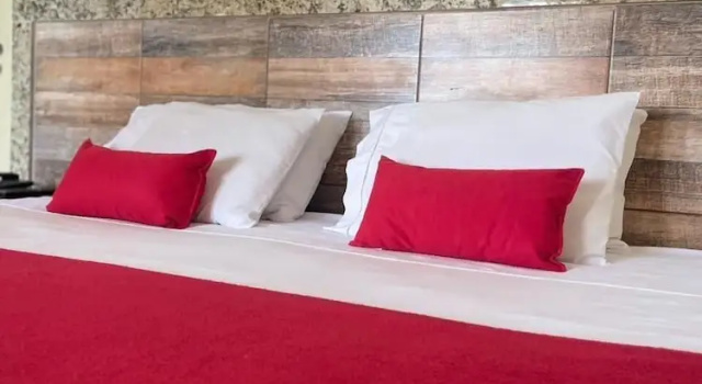 Двухместный номер Superior Alvorada Palace Hotel de Poços