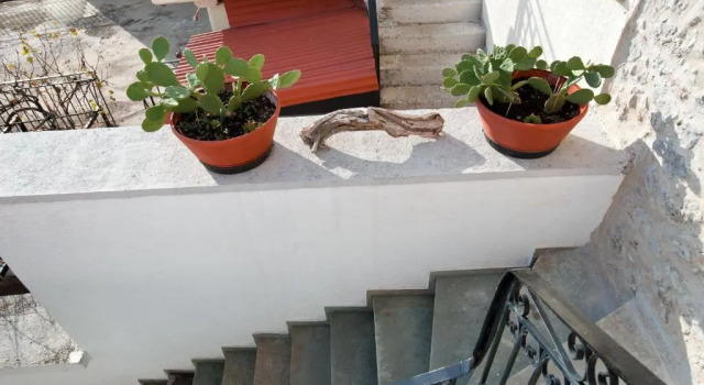 Guesthouse Simou with view 3 bedrooms, Book Hotel Distomo-Arachova-Antikyra 
