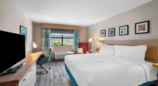 Двухместный номер Standard с видом на горы Hilton Garden Inn North Conway
