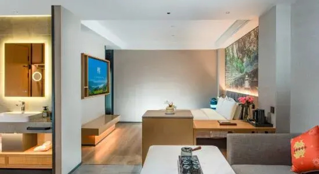 Люкс Premier TRUE GO Hotel (Shenzhen University Daxin Station)