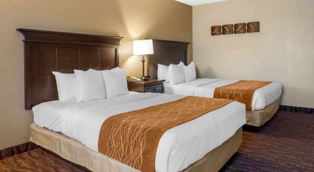 Шестиместный люкс Comfort Inn at Thousand Hills