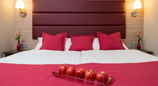 Трёхместный номер Standard Hotel Munich City