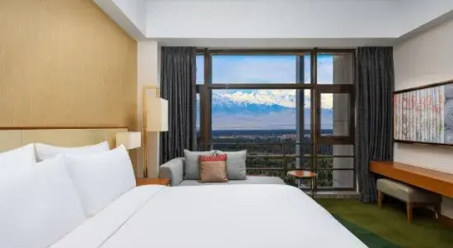 Капсула Executive Radisson Blu Hotel Kashgar