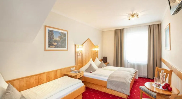 Трёхместный номер Standard Hotel Stegerbräu