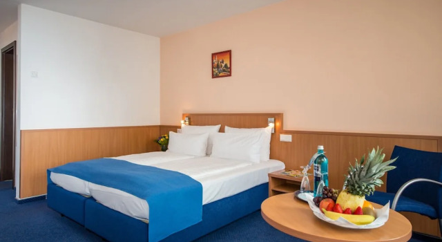 Двухместный номер Standard Hotel & Restaurant Goldener Pflug