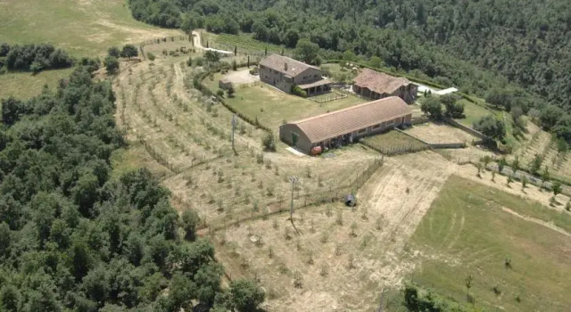 Agriturismo Il Poggio del Falco, Varaa Hotelli Orvieto Umbria