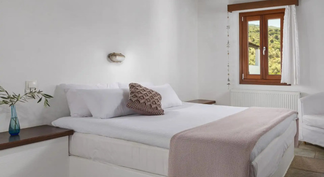 Люкс Aeolos Hotel & Villas - Pelion